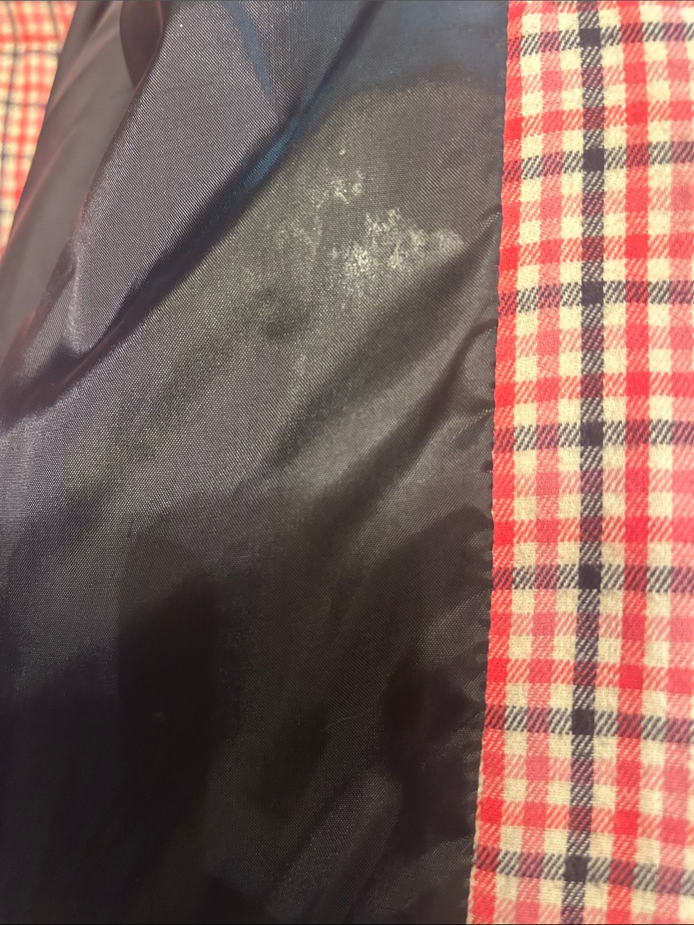Marine layer cropped puffer jacket - Picture 6 of 7